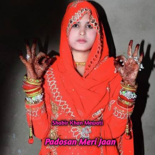 Padosan Meri Jaan Shabir Khan Mewati MP3 Download