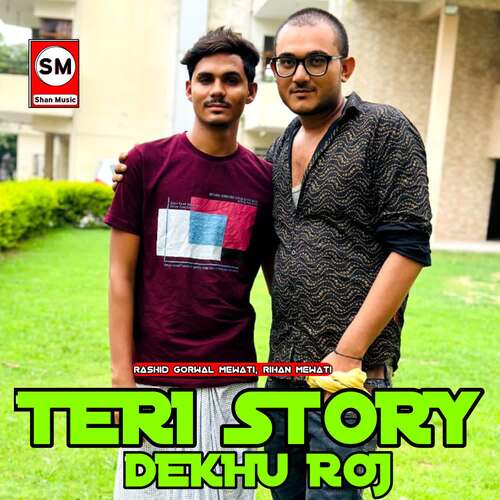 Teri Story Dekhu Roj Rashid Gorwal Mewati MP3 Download