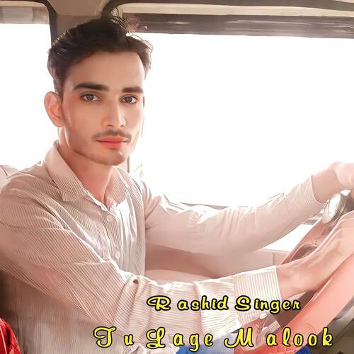 Tu Lage Malook Rashid singer MP3 Download