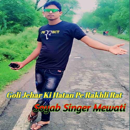 Goli Jehar Ki Hatan Pe Rakhli Rat Soyab Singer Mewati MP3 Download