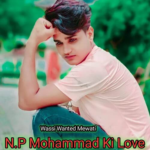 N.P Mohammad Ki Love Wassi Wanted Mewati MP3 Download