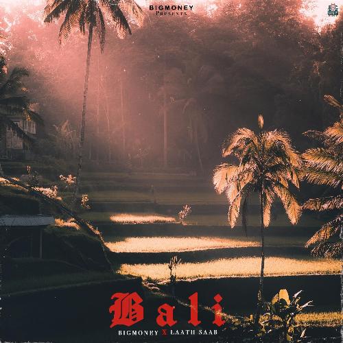 Bali Laath Saab MP3 Download