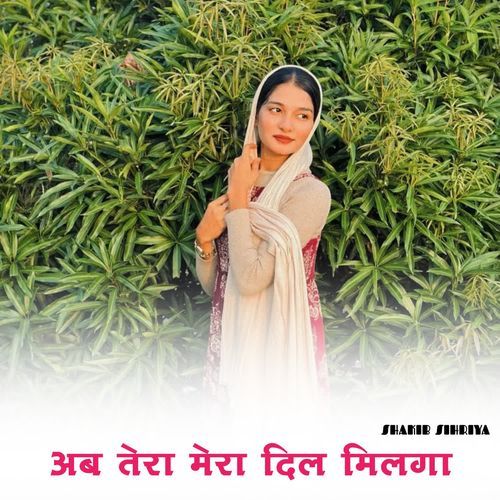 अब तेरा मेरा दिल मिलगा Shakib Sihriya MP3 Download