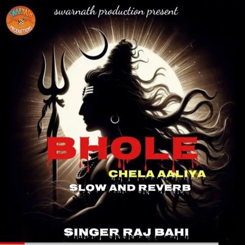 bhole chela aaliya slow and revrb Raj Bhai MP3 Download
