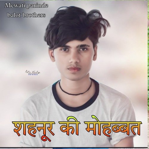 Shahnur ki mohabbat (Mewati song) Mewati Parinde MP3 Download