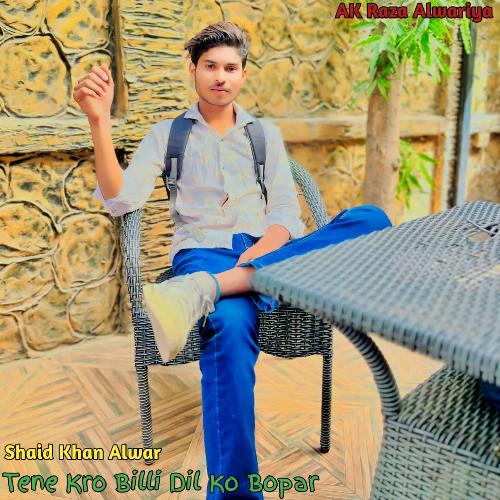 Tene Kro Billi Dil Ko Bopar Shaid Khan Alwar MP3 Download