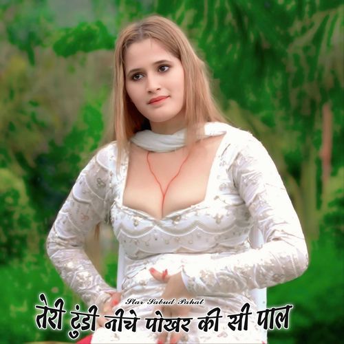 तेरी टुंडी नीचे पोखर की सी पाल Star Sabud Pahat MP3 Download