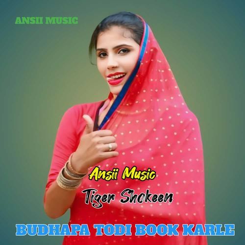 BUDHAPA TODI BOOK KARLE Tiger shokeen MP3 Download