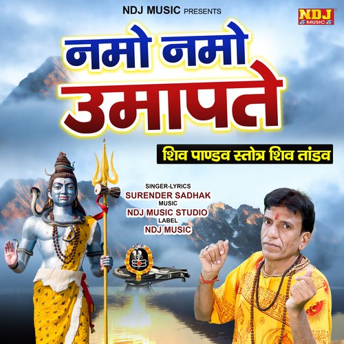Namo Namo Umapate Surender Sadhak MP3 Download