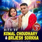 Hits Of Komal Choudhary & Brijesh Sorkha Vol. 3 Album Download