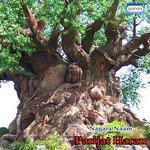 Manjula Baruah Songs MP3 Download