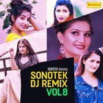 Sonotek (DJ Remix) Vol 8 – Ruchika Jangid