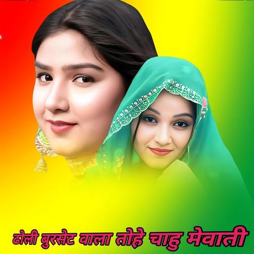 ढोली बुरसेट वाला तोहे चाहु मेवाती Sana Khan Mewati MP3 Download