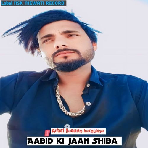 Aabid ki jaan Shiba NSK MEWATI RECORD MP3 Download