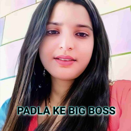 PADLA KE BIG BOSS Farhan Akram Alwar MP3 Download