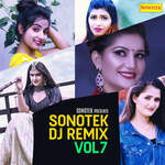 Sonotek (DJ Remix) Vol 7 – Sapna Choudhary