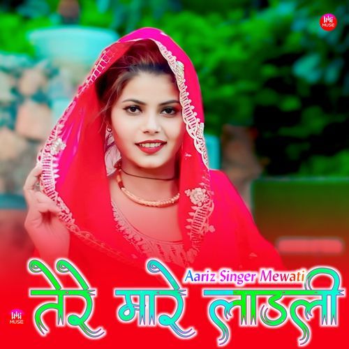 तेरे मारे लाडली Aariz Singer Mewati MP3 Download