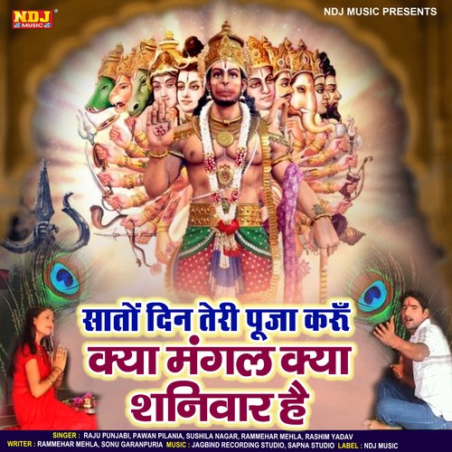 Sato Din Teri Puja Karu Kya Mangal Kya Suniwar hai Raju Punjabi MP3 Download