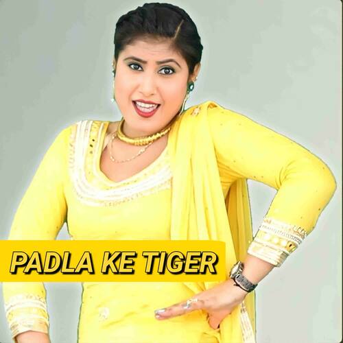 Padla ke tiger Farhan Akram Alwar MP3 Download