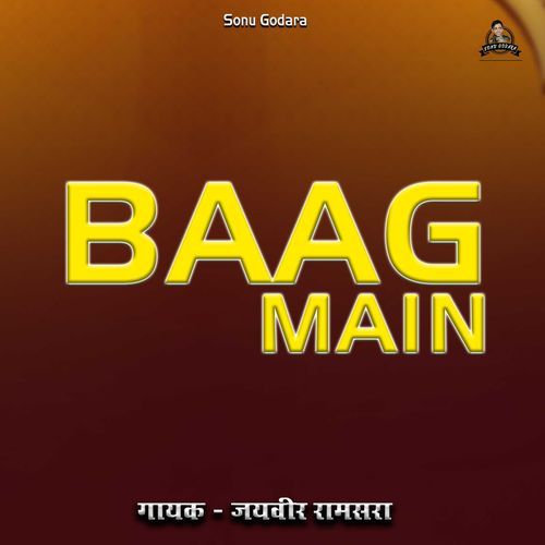 Baag Main Jaiveer Ramsara MP3 Download