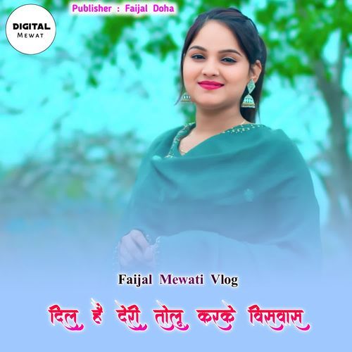 Dil Hai Deri Karke Wishwas FAIJAL MEWATI VLOG MP3 Download