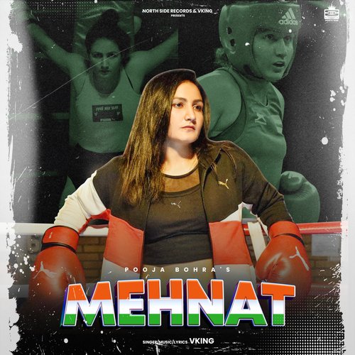 Mehnat Vking MP3 Download