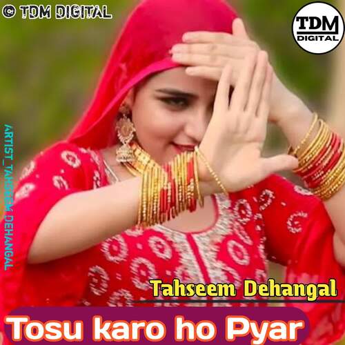 Tosu karo ho Pyar TDM DIGITAL MP3 Download