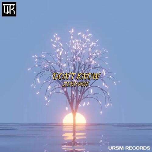 Dont Know Zero9ine MP3 Download