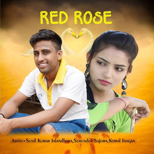 Red Rose Surender Sajuma MP3 Download