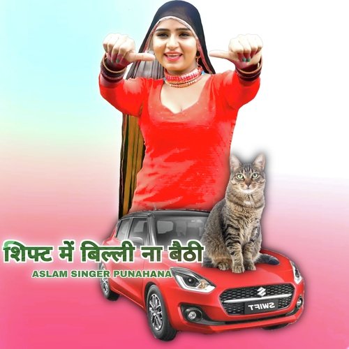 शिफ्ट में बिल्ली ना बैठी Aslam Singer Punahana MP3 Download