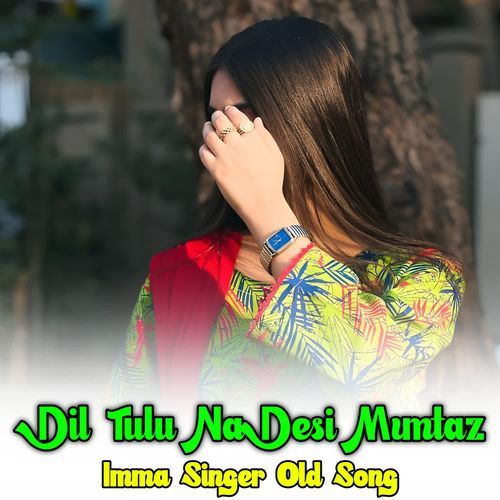 Dil Tulu Na Desi Mumtaz Tasleem Mewati MP3 Download