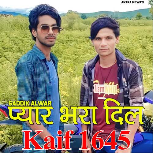 Pyar Bhara Dil Kaif 1645 Saddik Alwar MP3 Download