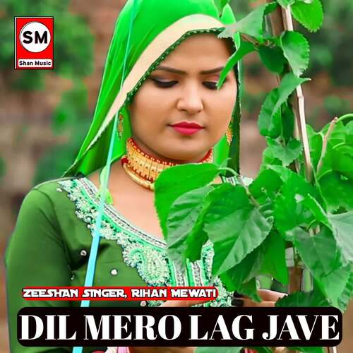 Dil Mero Lag Jave Rihan Mewati MP3 Download