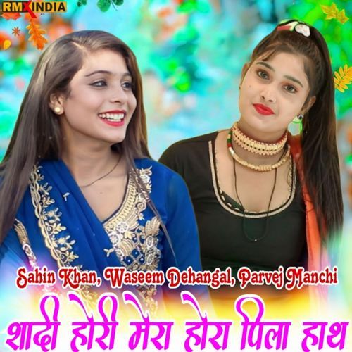 Shadi Hori Mera Hora Pila Hath Waseem Dehangal MP3 Download