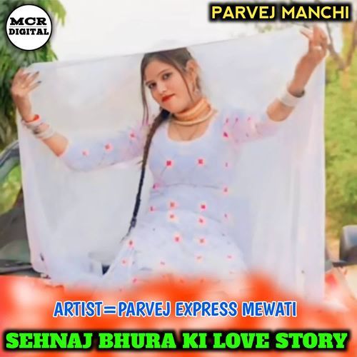 SAHNAJ BHURA KI LOVE STORY Parvej Express Mewati MP3 Download
