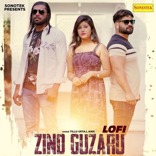 Zind Guzaru Lofi Anis MP3 Download