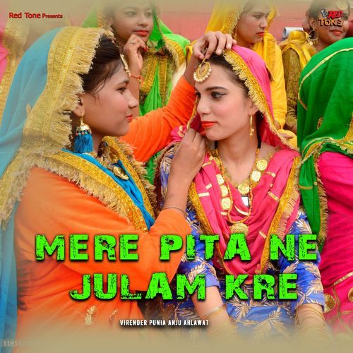 Mere Pita Ne Julam Kre Anju Ahlawat MP3 Download