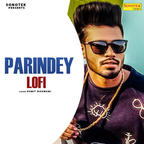 Parindey Lofi Sumit Goswami MP3 Download