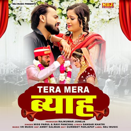 Tera Mera Byaah Ravi Panchal MP3 Download