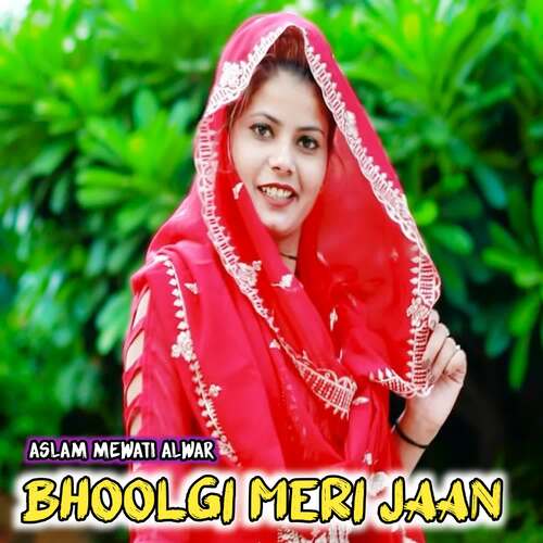 Bhoolgi Meri Jaan Aslam Mewati Alwar MP3 Download