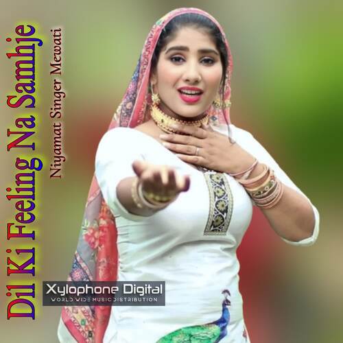 Dil Feeling Na Samhje Niyamat Singer Mewati MP3 Download
