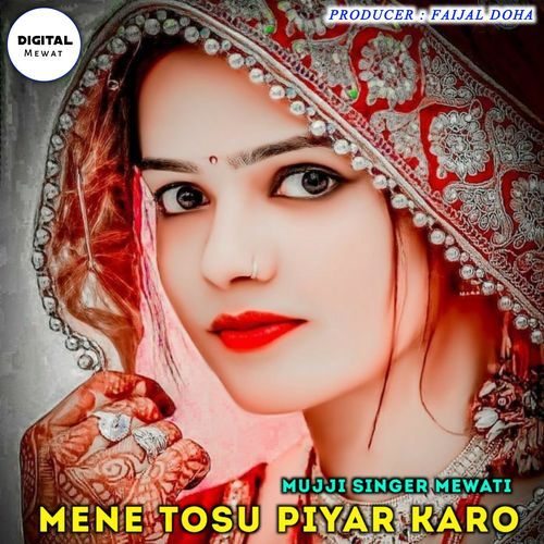 Mene Tosu Piyar Karo FAIJAL MEWATI VLOG MP3 Download