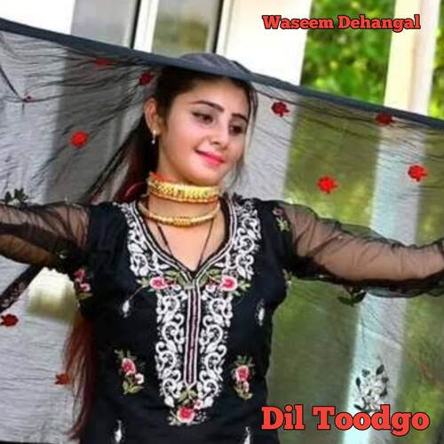 Dil Toodgo Warish Dehangal MP3 Download