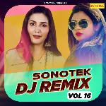 Sonotek DJ Remix Vol 16 Album Download