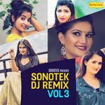 Sonotek (DJ Remix) Vol 3 – Raju Punjabi