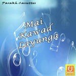Rashly Shyam Songs MP3 Download