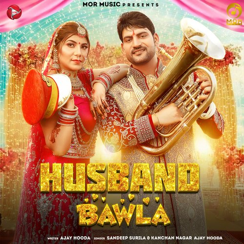 Husband Bawla Ajay Hooda MP3 Download