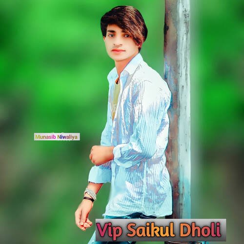 Vip Saikul Dholi Sajid Singer Alwar MP3 Download