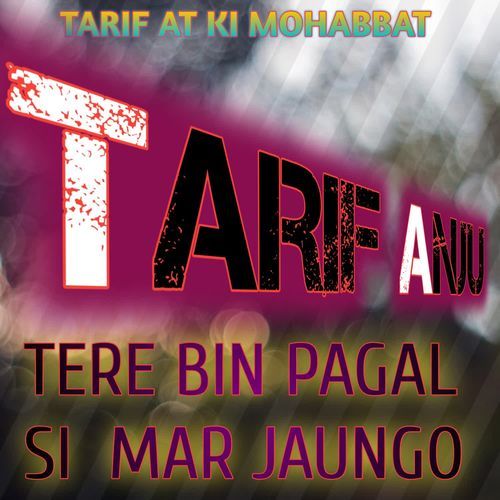Tere Bin Pagal si Mar jaungo Tarif Anju MP3 Download