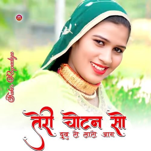 तेरी चोटन सू दूख रो सारो आग Sakir Rupadiya MP3 Download